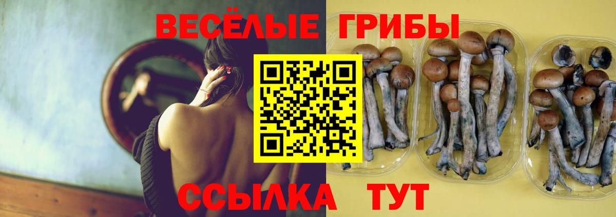 Галлюциногенные грибы Psilocybe  Псилоцибиновые грибы GOLDEN TEACHER  наркошоп  Зеленокумск  Вход с VPN 