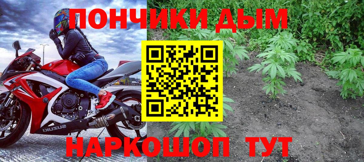 Конопля семена Зеленокумск